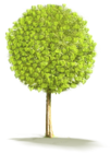 Large Tree PNG Clipart