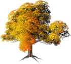 Large Yellow Fall Tree PNG Clipart