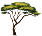 Painted African Tree PNG Clipart Picture