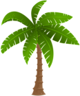 Palm PNG Clipart