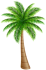 Palm Tree Large PNG Clip Art Image