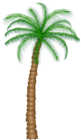 Palm Tree PNG Clipart