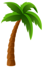 Palm Tree PNG Image Clipart
