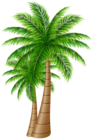 Palm Trees Large PNG Clip Art Image