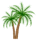 Palm Trees PNG Clipart Picture