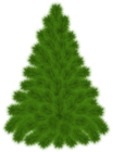 Pine Tree PNG Clipart Picture