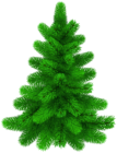 Pine Tree PNG Transparent Clipart