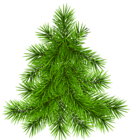 Pine Tree Transparent Picture