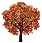 Red Maple Tree PNG Clipart Picture | Gallery Yopriceville - High