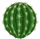 Round Cactus PNG Clipart