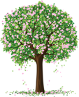 Spring Tree PNG Art Picture