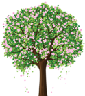 Spring Tree PNG Clipart