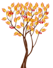Transparent Autumn Tree PNG Clipart Image