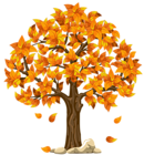 Transparent Fall Orange PNG Clipart Picture