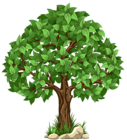 Transparent Tree PNG Clipart Picture