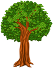 Tree Cartoon PNG Clip Art Image