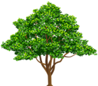 Tree Free PNG Clip Art Image