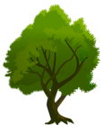Tree Green PNG Clipart