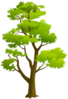 Tree PNG Clip Art