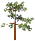 Tree PNG Clipart Image