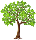 Tree PNG Transparent Clip Art Image | Gallery Yopriceville - High ...