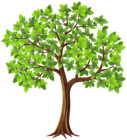 Tree PNG Transparent Clip Art Image