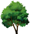 Tree Transparent PNG Clip Art Image