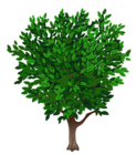 Tree Transparent PNG Clipart Picture