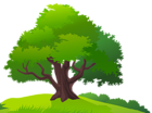 Tree and Grass PNG Clipart Image