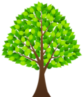 Tree with Green Leaves Transparent PNG Clip Art Image