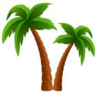 Two Palm Trees PNG Clipart Image