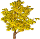 Yellow Fall Tree PNG Clipart
