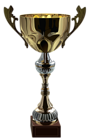 Cup Trophy PNG Picture Clipart