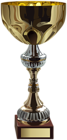 Gold Cup Trophy PNG Clip Art Image