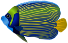 Blue Fish PNG Clip Art Image