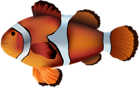 Clownfish PNG Transparent Clip Art Image