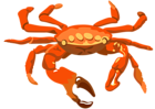 Crab Transparent PNG Clip Art Image