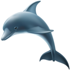 Dolphin PNG Clip Art Image