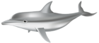 Dolphin PNG Transparent Clip Art Image