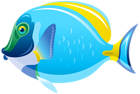 Fish PNG Clip Art Image
