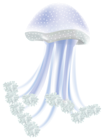 Jellyfish PNG Transparent Clip Art Image