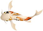 Koi Fish PNG Clipart