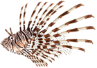 Lionfish PNG Transparent Clip Art Image