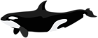 Orca PNG Clip Art Image