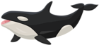 Orca Transparent PNG Clip Art Image