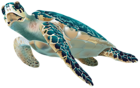 Sea Turtle PNG Transparent Clip Art Image