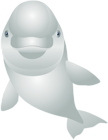 White Dolphin Cartoon Transparent Clip Art Image