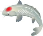 White Koi Fish PNG Clip Art Image
