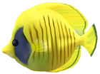 Yellow Fish Transparent PNG Clip Art Image