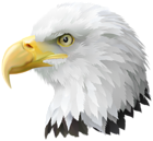American Eagle Head Transparent PNG Clip Art Image